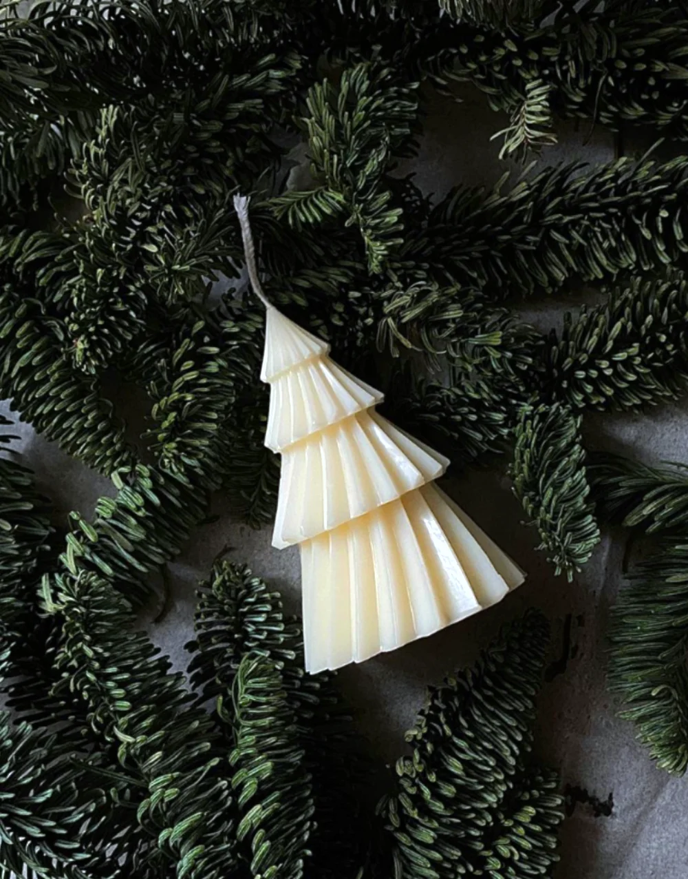 Yılbaşı Burgu Çam